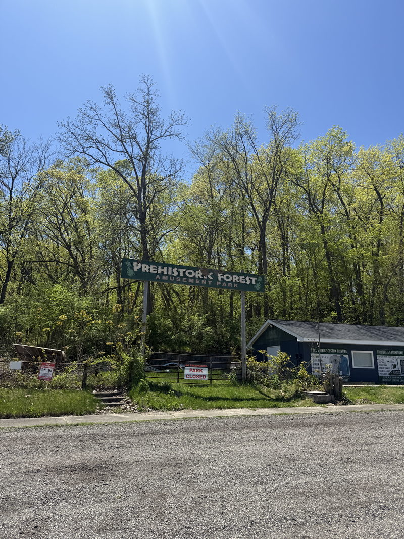 Prehistoric Forest - May 11 2025 (newer photo)